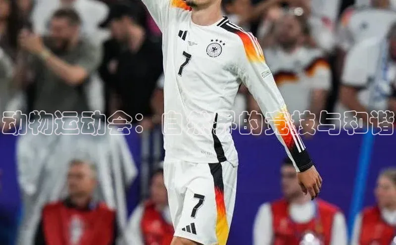 欧陆娱乐平台登录