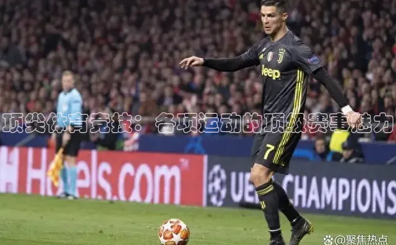 欧陆注册手机版